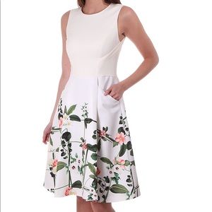 NWOT Ted Baker karolie trellis Print white Dress
